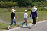 写真