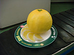 Dsc05416_3