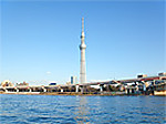 5d2_a22441