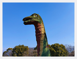 絵本写真