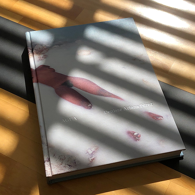 デニッセ・アリアナ・ペレス写真集