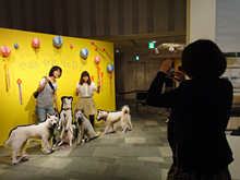 Omote07