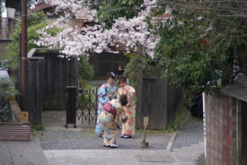 0405suri02