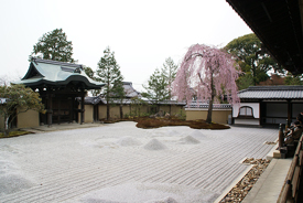 0407suri