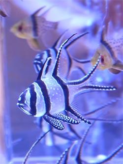 Monoiro120718_kaigai03