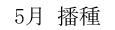 5月