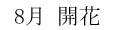 5月